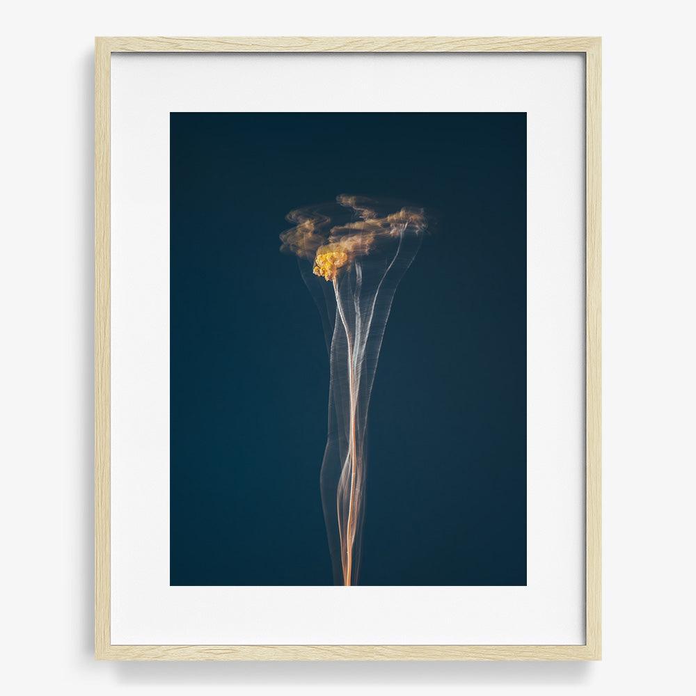 Photograph by Jan Prengel