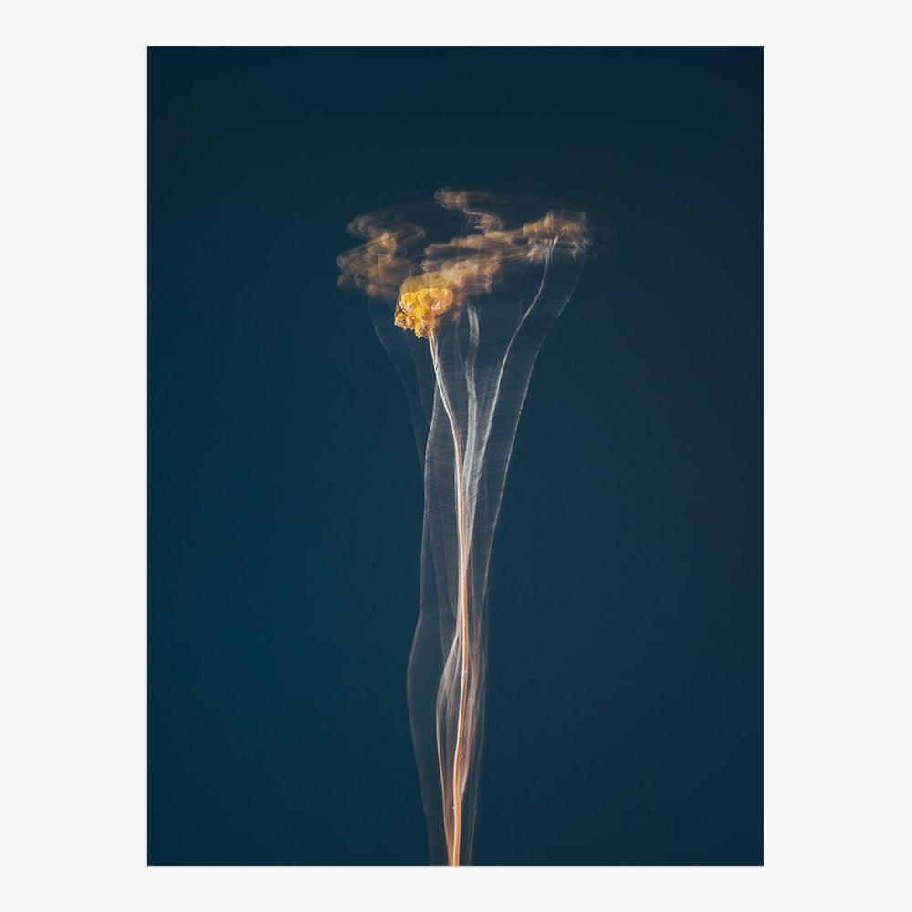 Photograph by Jan Prengel