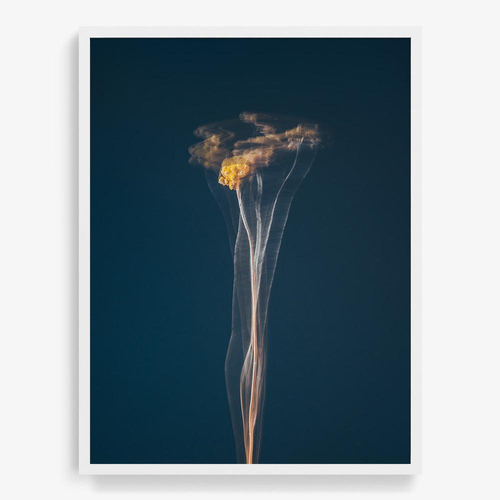 Photograph by Jan Prengel