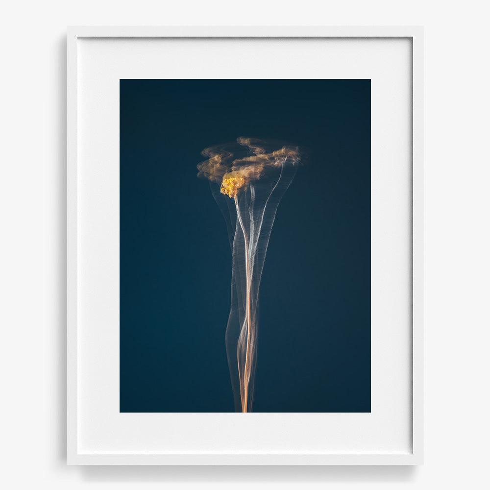 Photograph by Jan Prengel