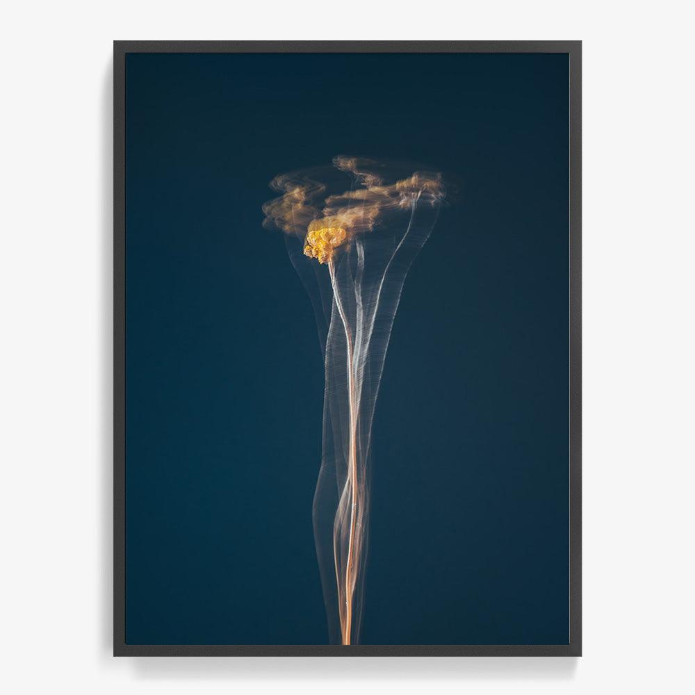 Photograph by Jan Prengel