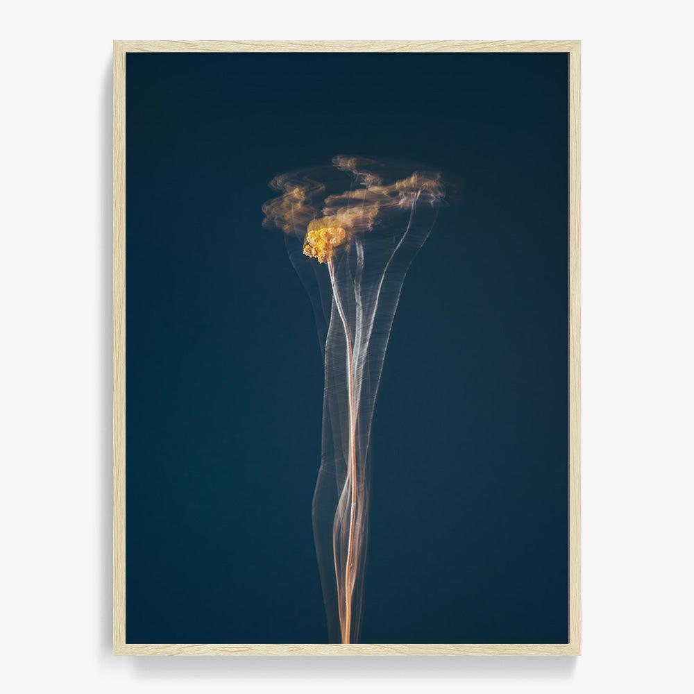Photograph by Jan Prengel