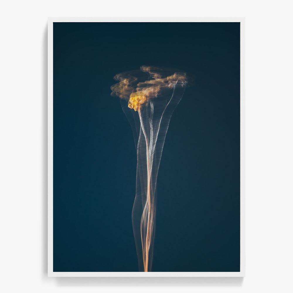 Photograph by Jan Prengel