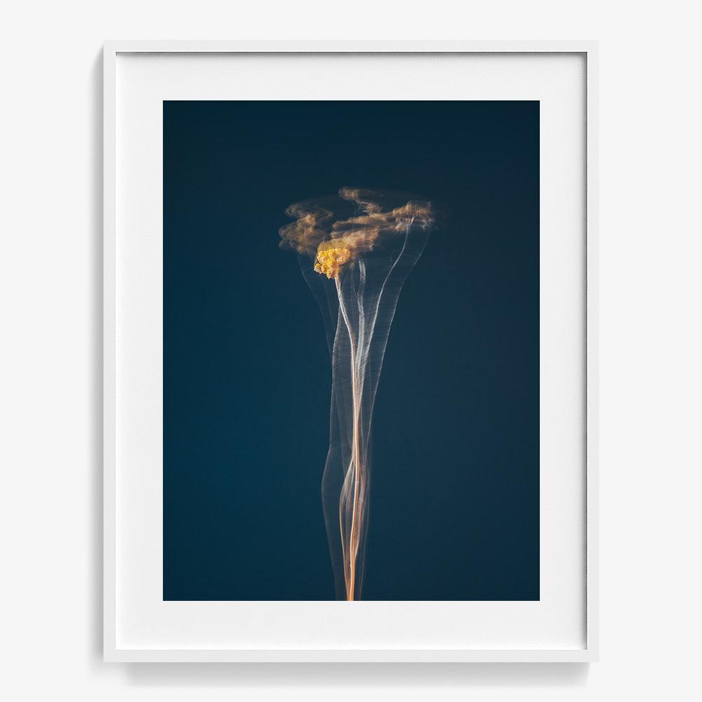 Photograph by Jan Prengel