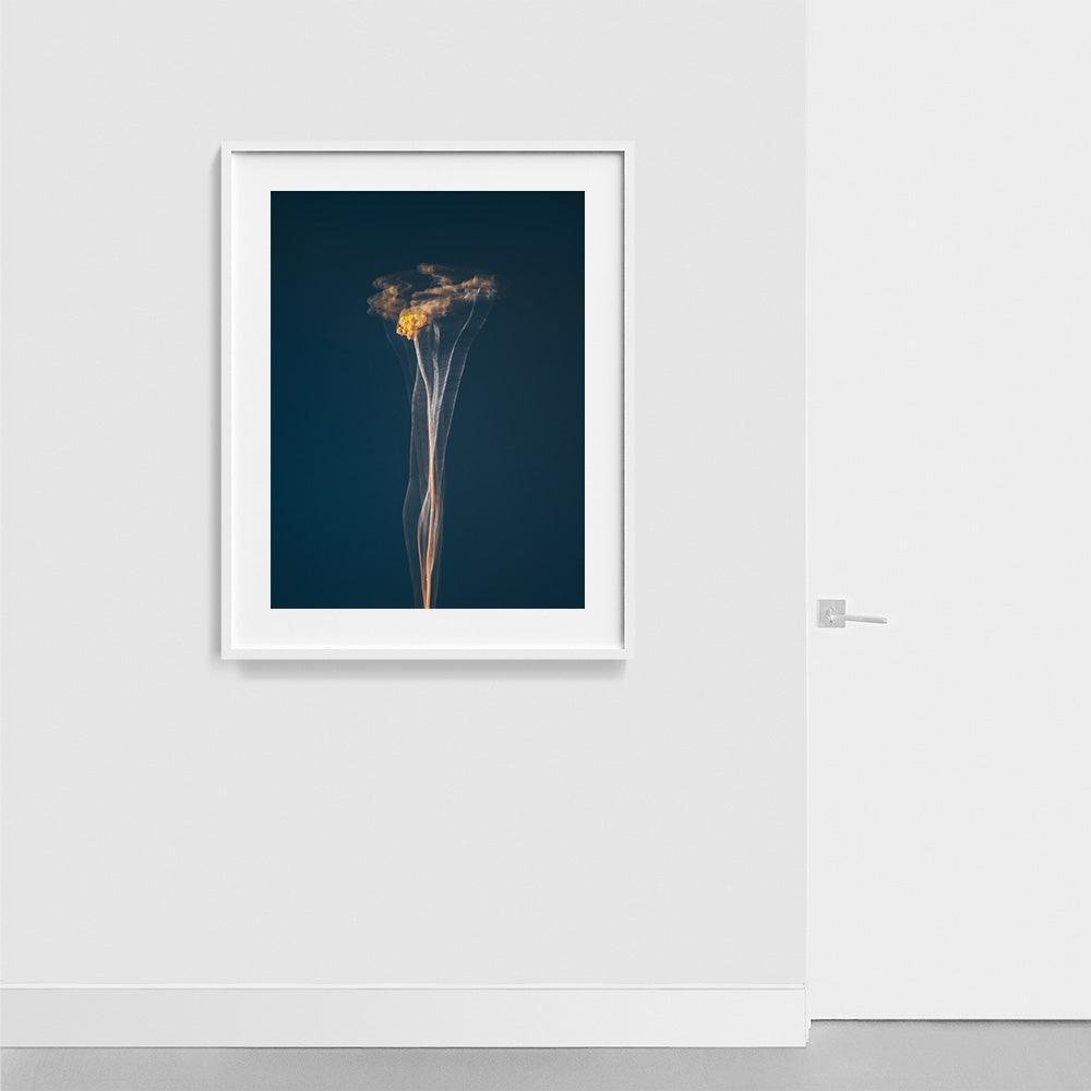 Photograph by Jan Prengel