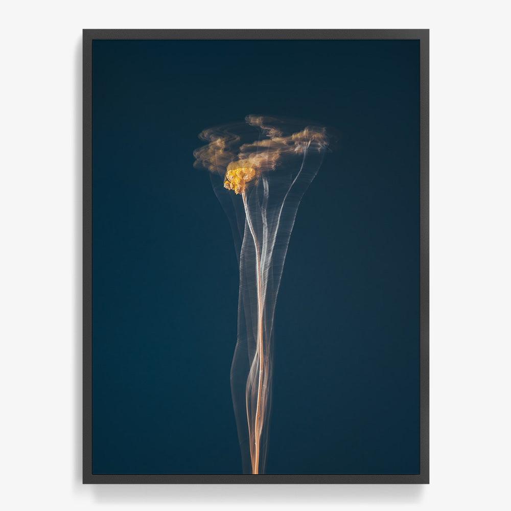 Photograph by Jan Prengel