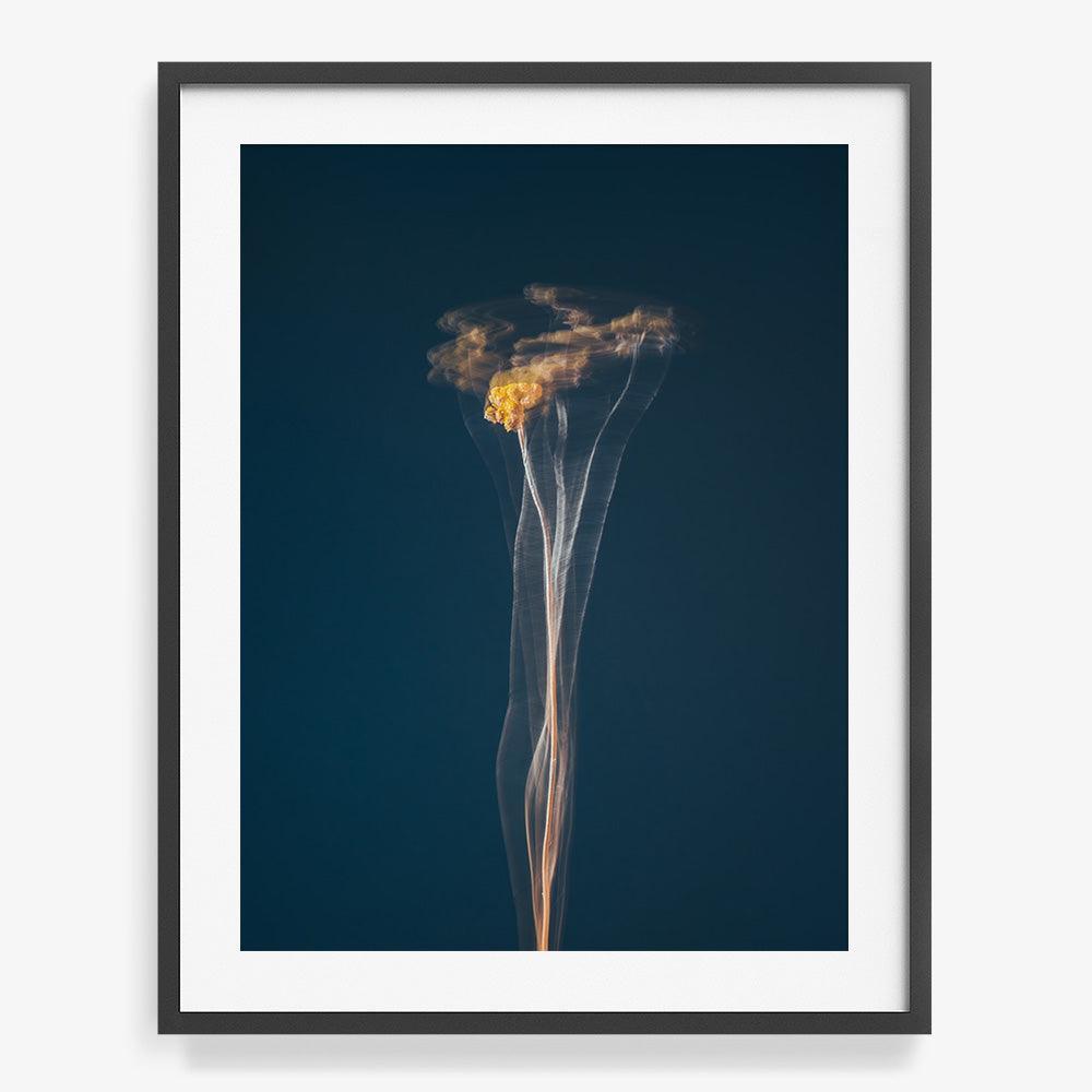 Photograph by Jan Prengel