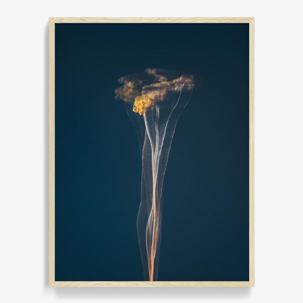 Photograph by Jan Prengel