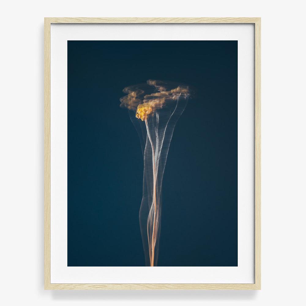 Photograph by Jan Prengel