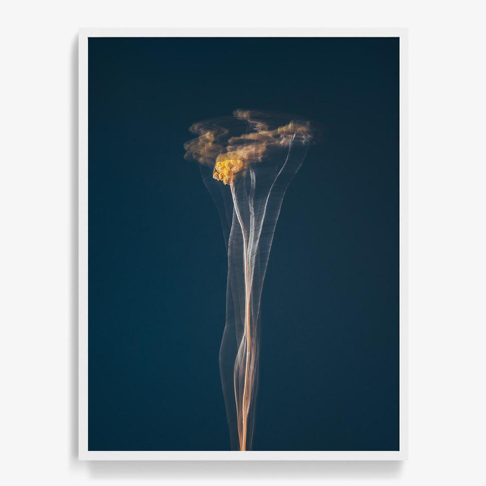 Photograph by Jan Prengel