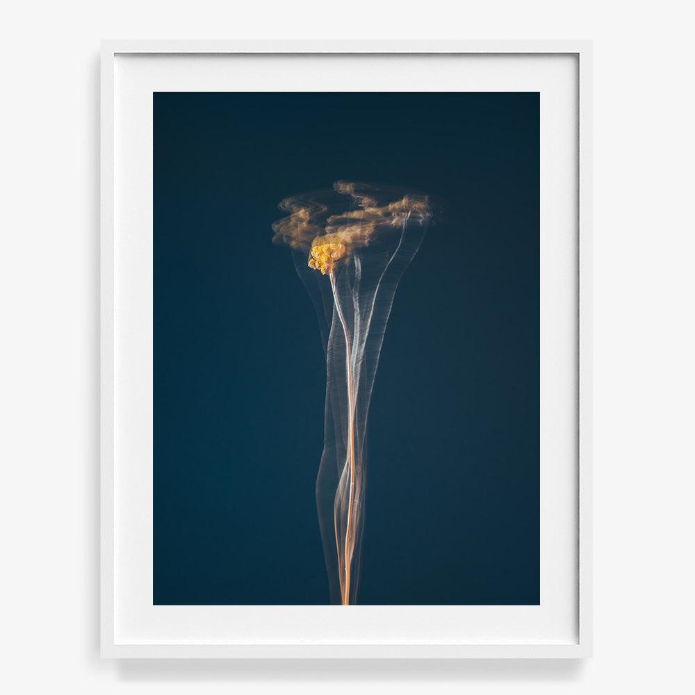 Photograph by Jan Prengel