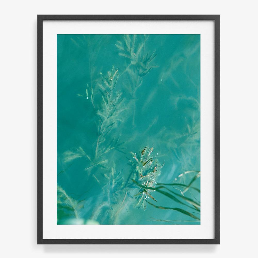 Photograph by Neil Kryszak