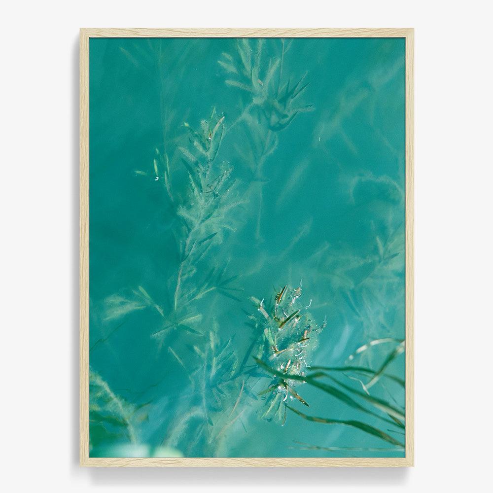 Photograph by Neil Kryszak