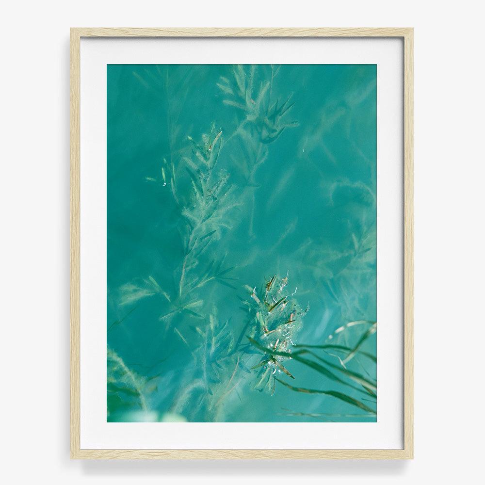 Photograph by Neil Kryszak