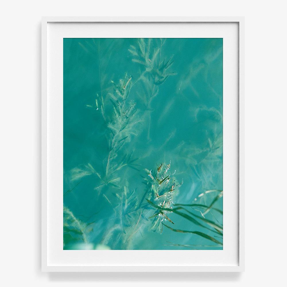 Photograph by Neil Kryszak