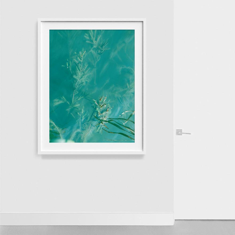 Photograph by Neil Kryszak