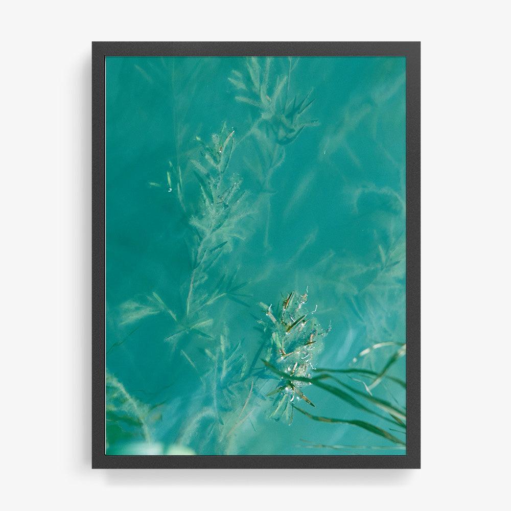 Photograph by Neil Kryszak