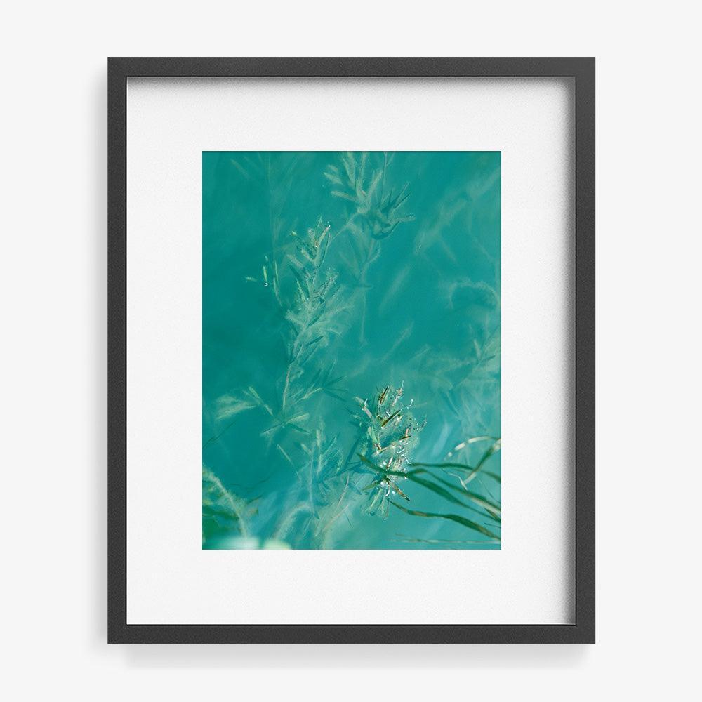 Photograph by Neil Kryszak