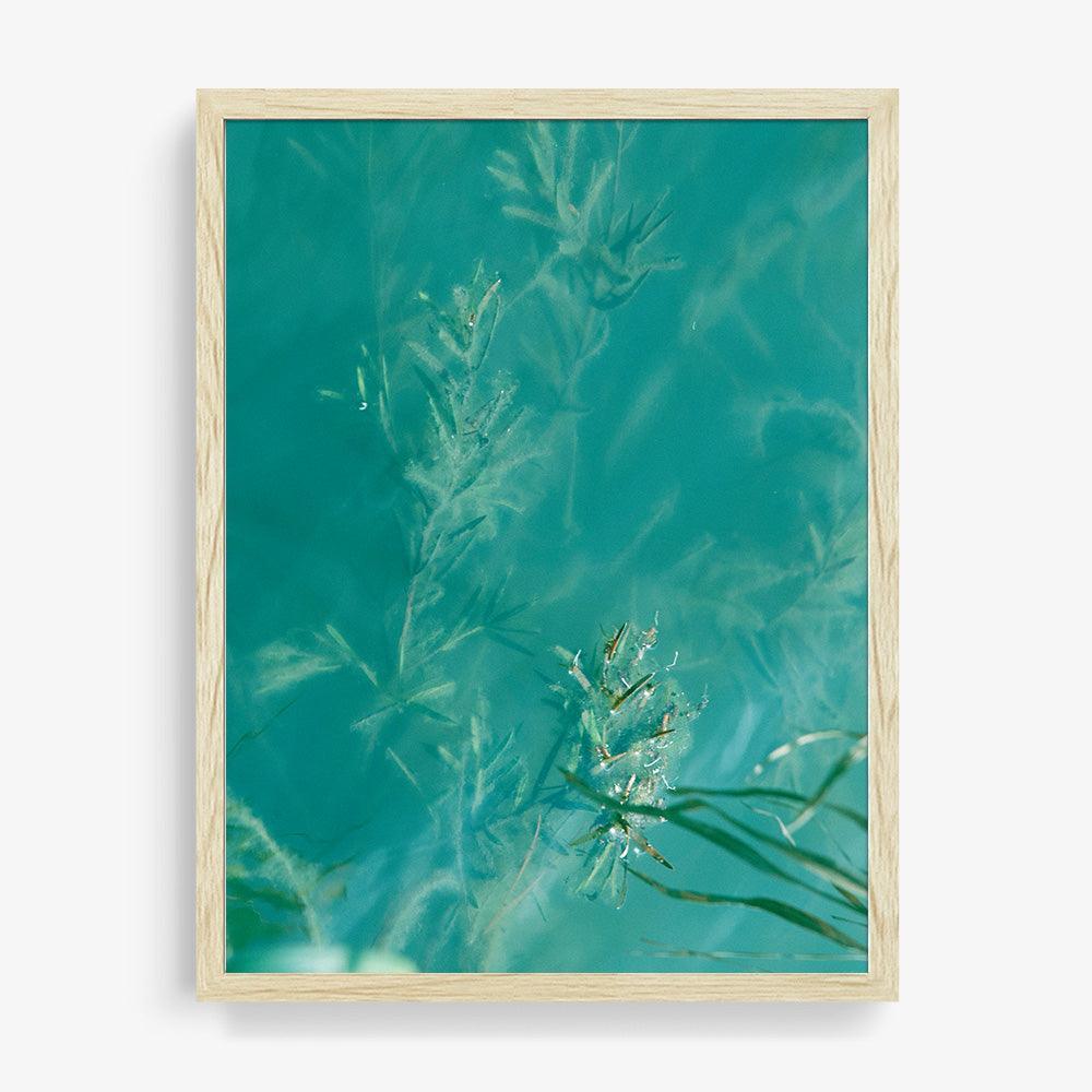 Photograph by Neil Kryszak