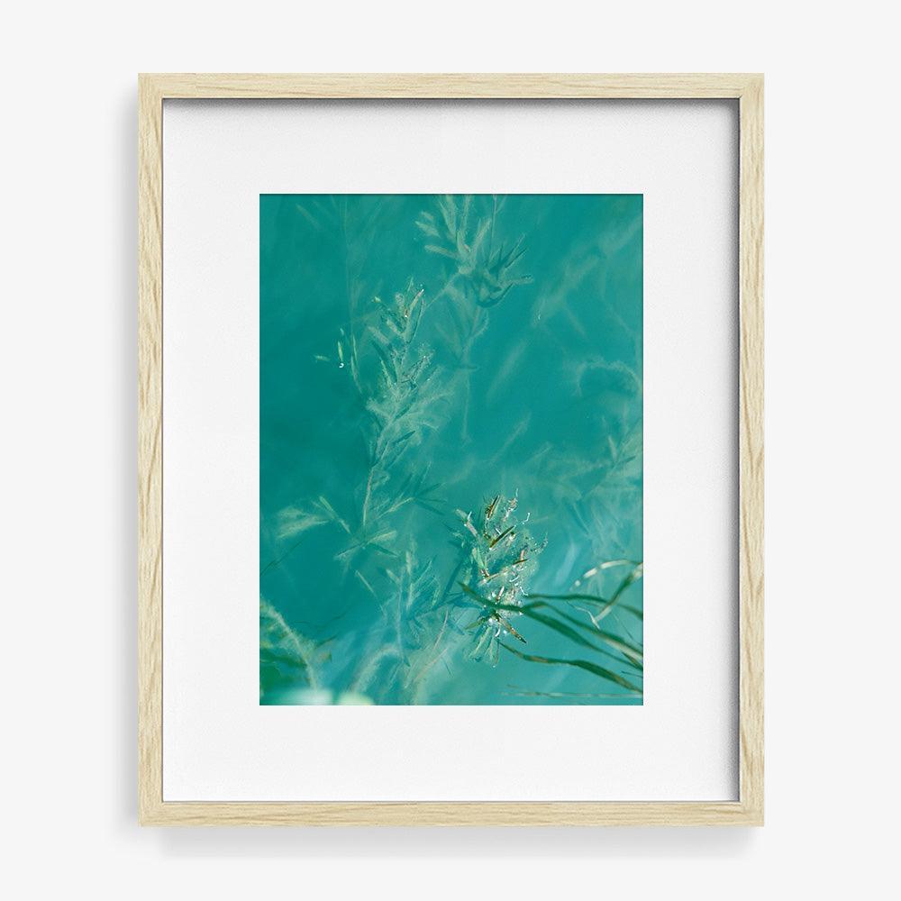 Photograph by Neil Kryszak