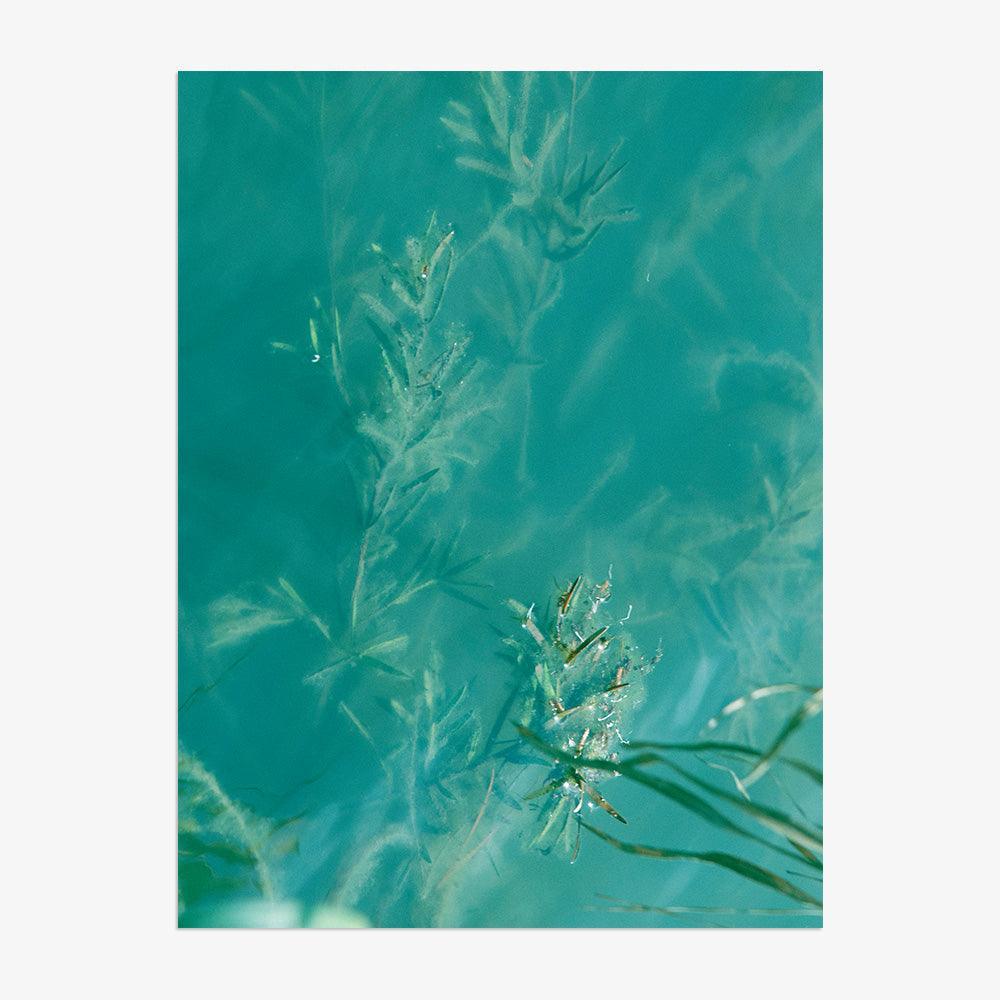 Photograph by Neil Kryszak