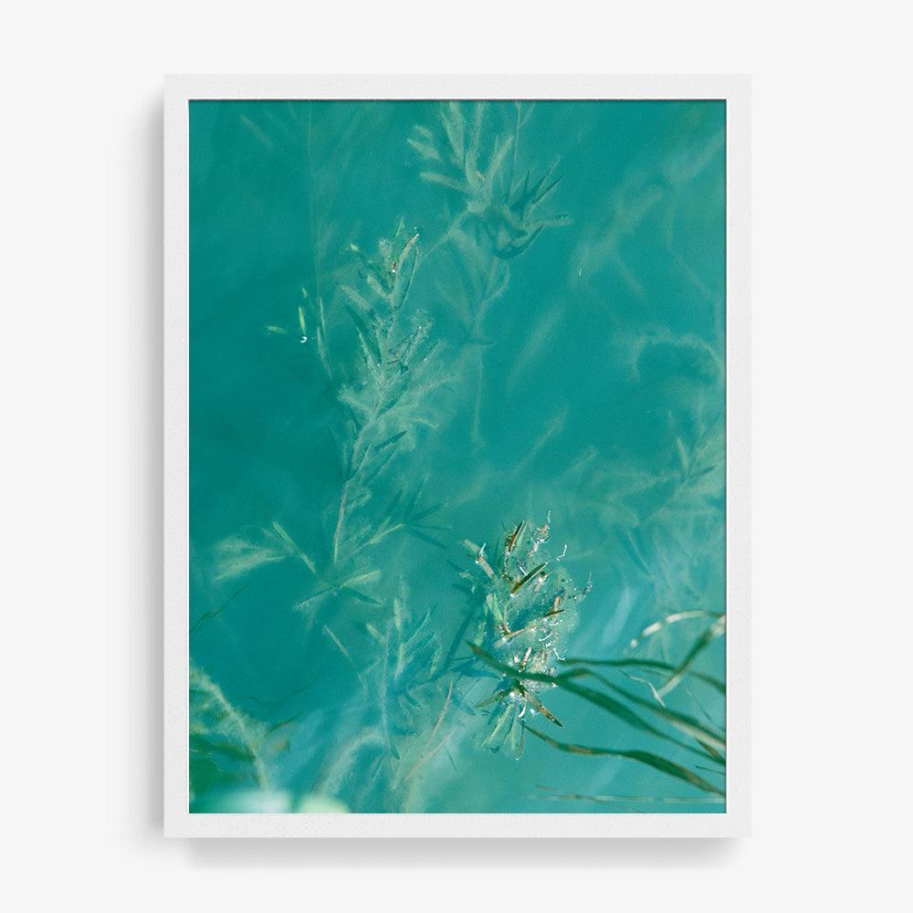 Photograph by Neil Kryszak