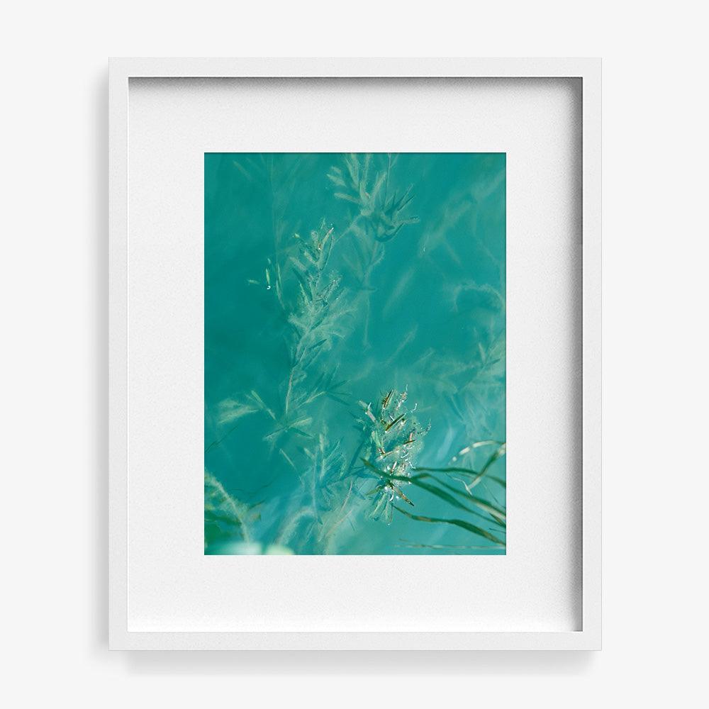 Photograph by Neil Kryszak