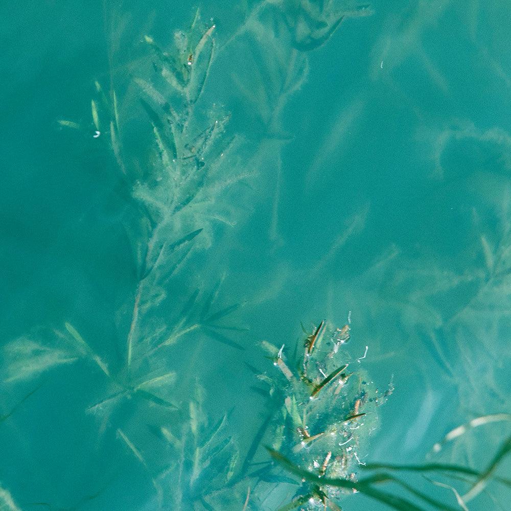 Photograph by Neil Kryszak