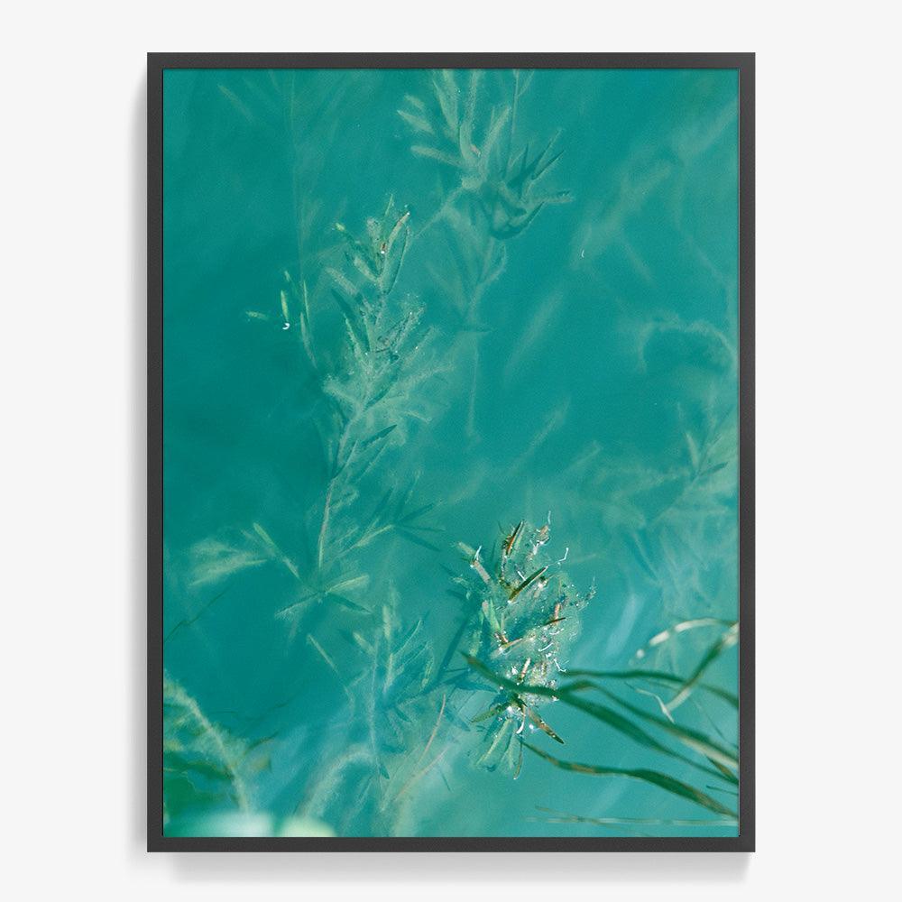 Photograph by Neil Kryszak