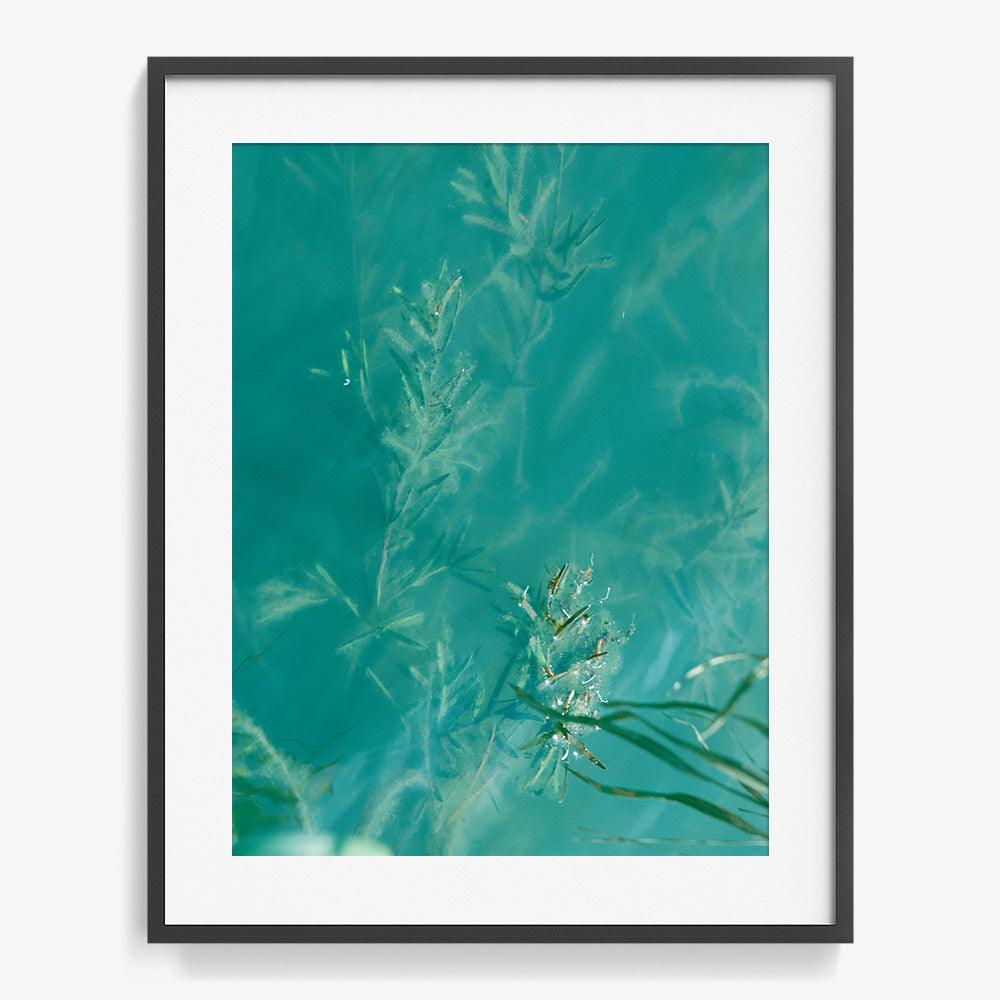 Photograph by Neil Kryszak