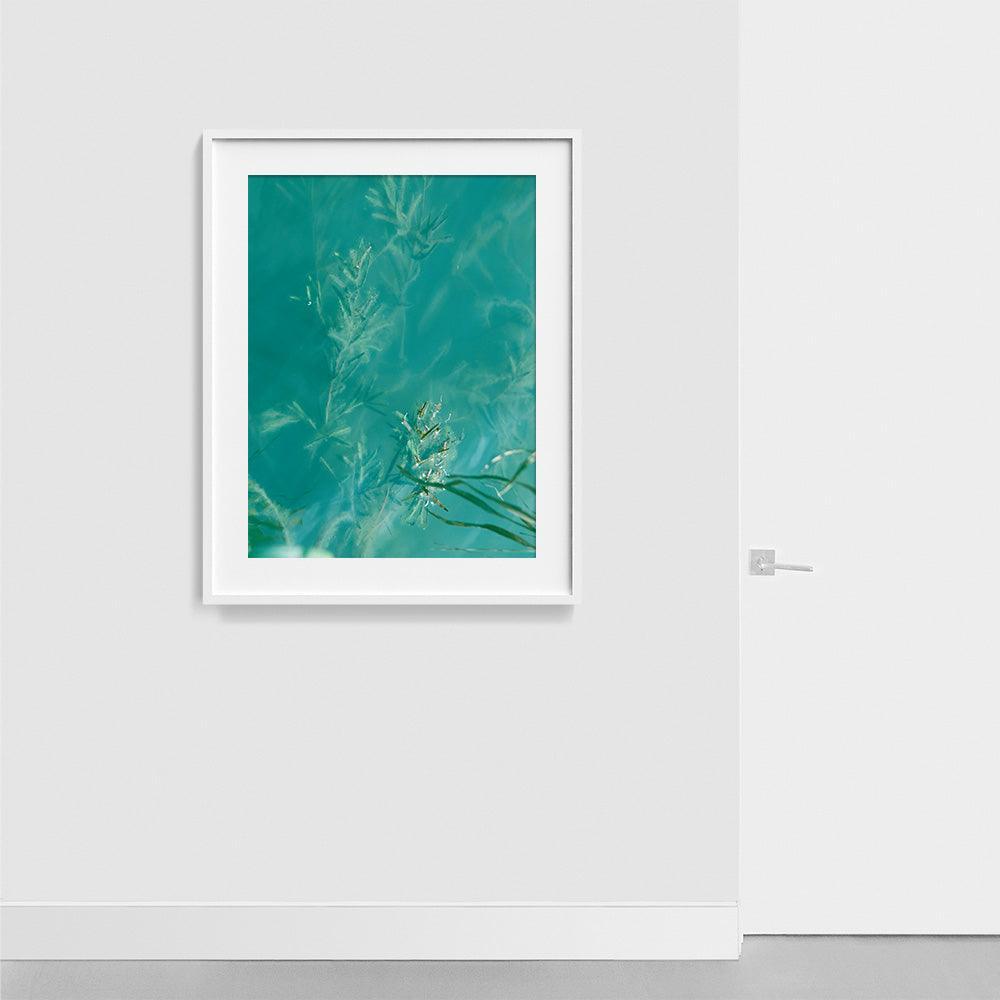 Photograph by Neil Kryszak