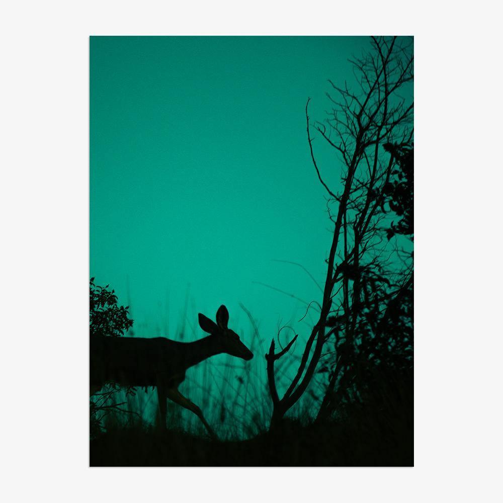 Photograph by Neil Kryszak