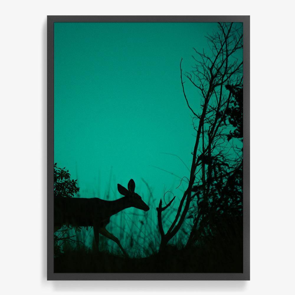 Photograph by Neil Kryszak