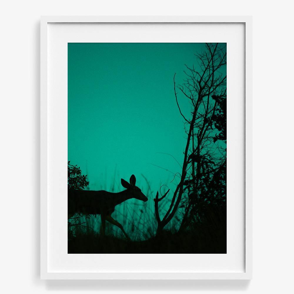 Photograph by Neil Kryszak