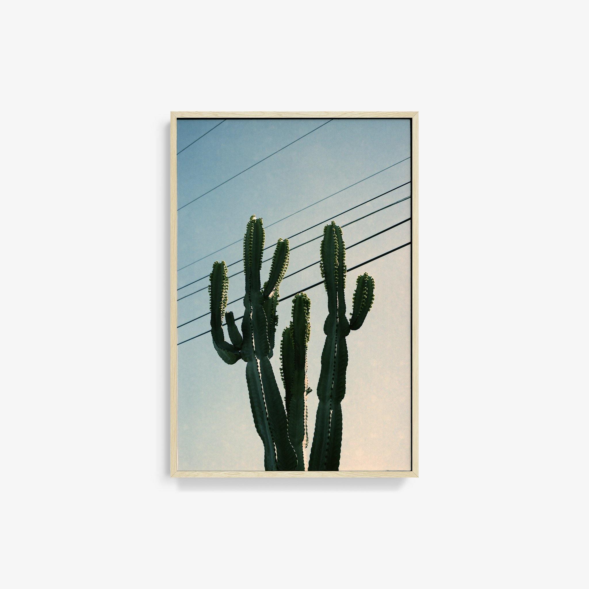 Photography by Isaac Zoller