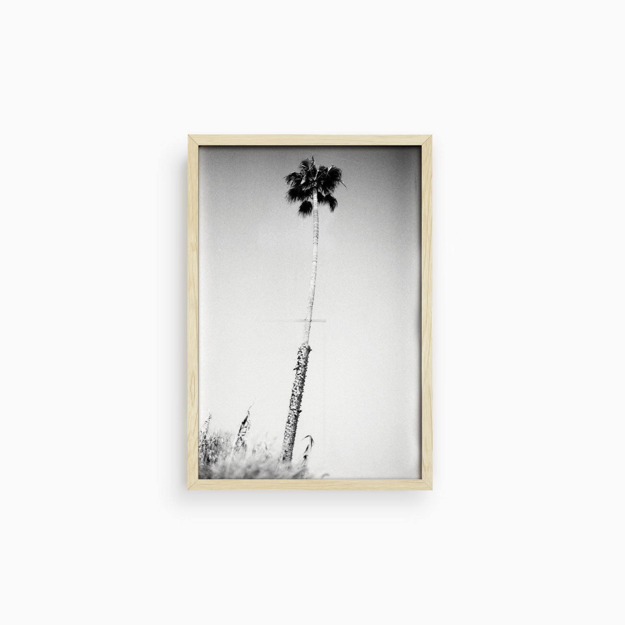 Photograph by Isaac Zoller