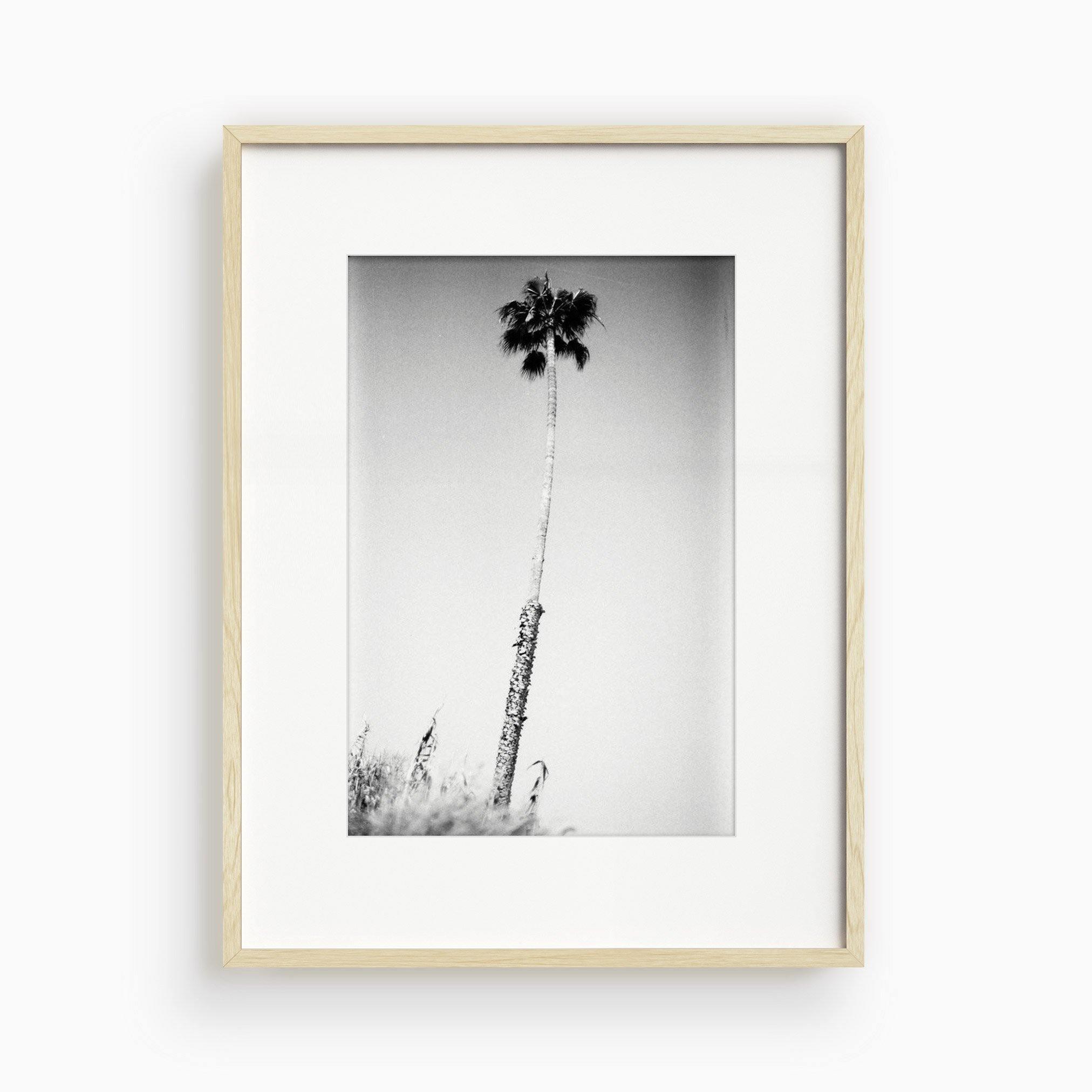 Photograph by Isaac Zoller