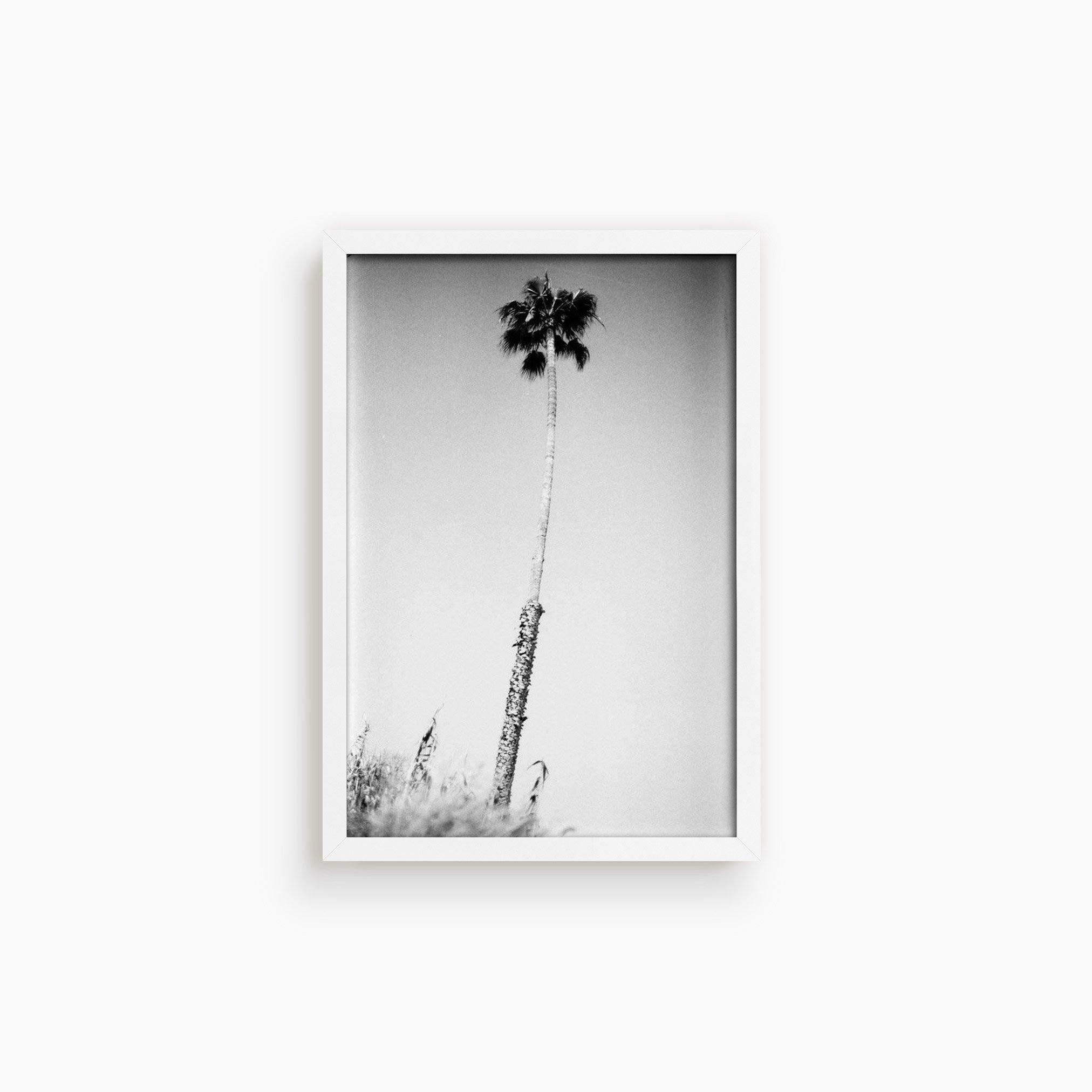 Photograph by Isaac Zoller