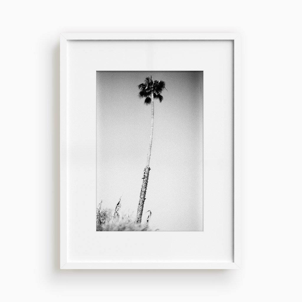 Photograph by Isaac Zoller