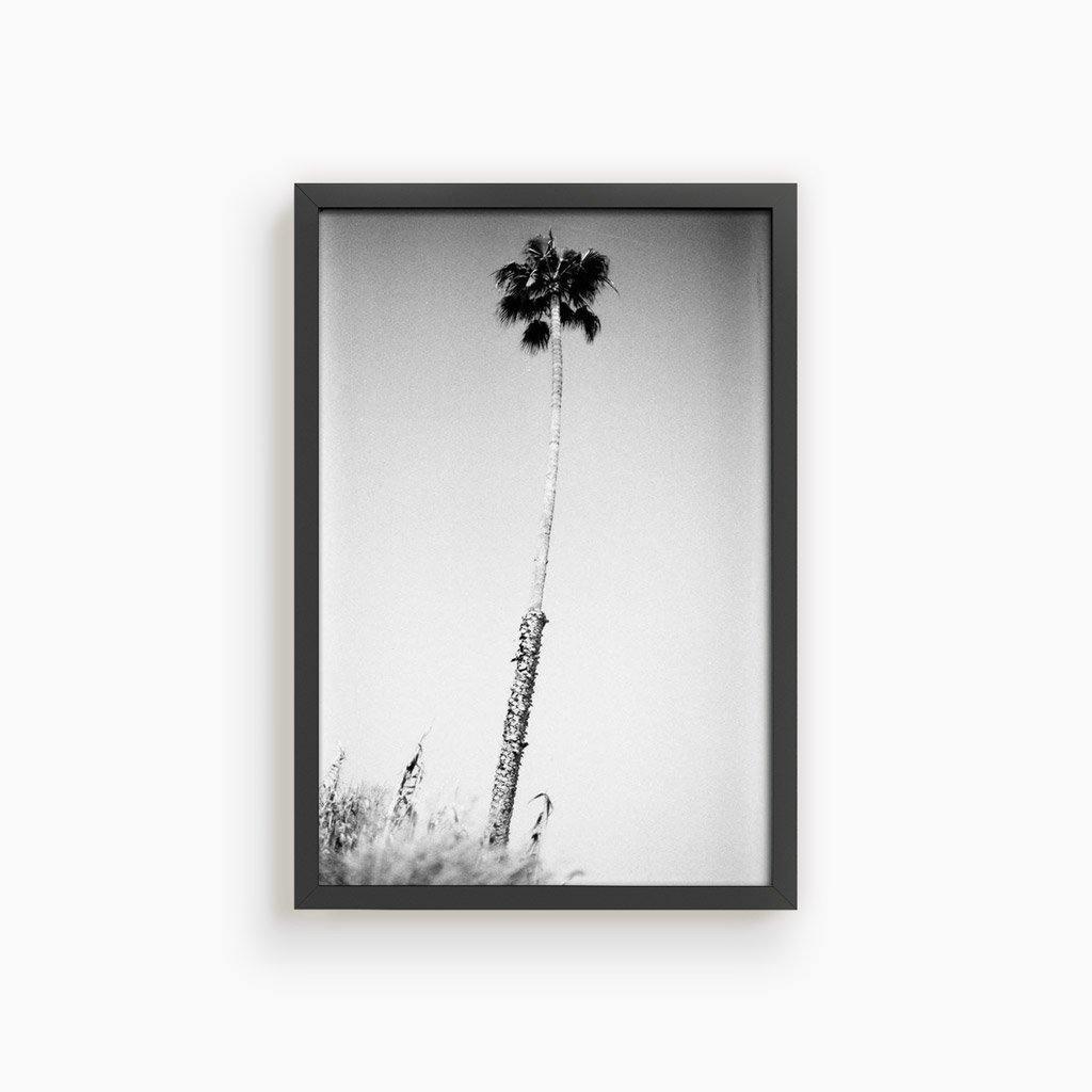 Photograph by Isaac Zoller