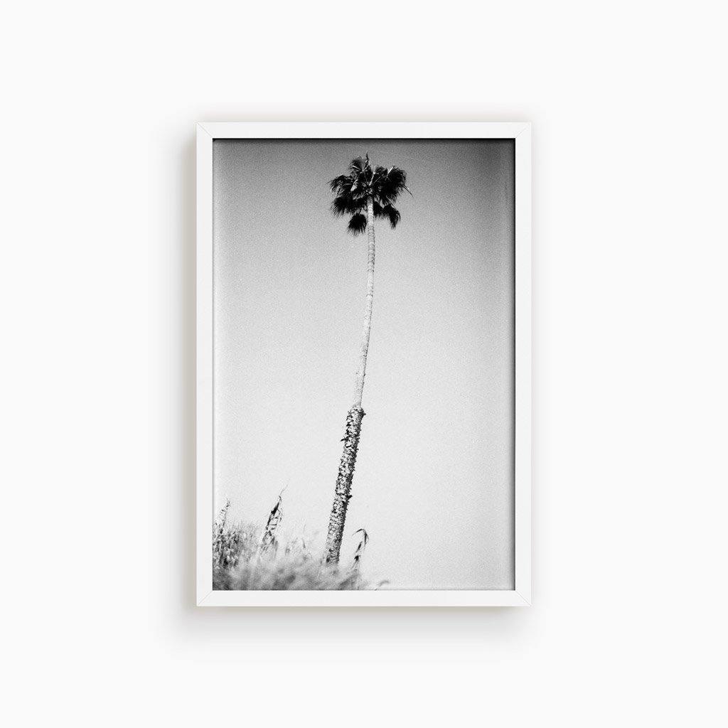 Photograph by Isaac Zoller