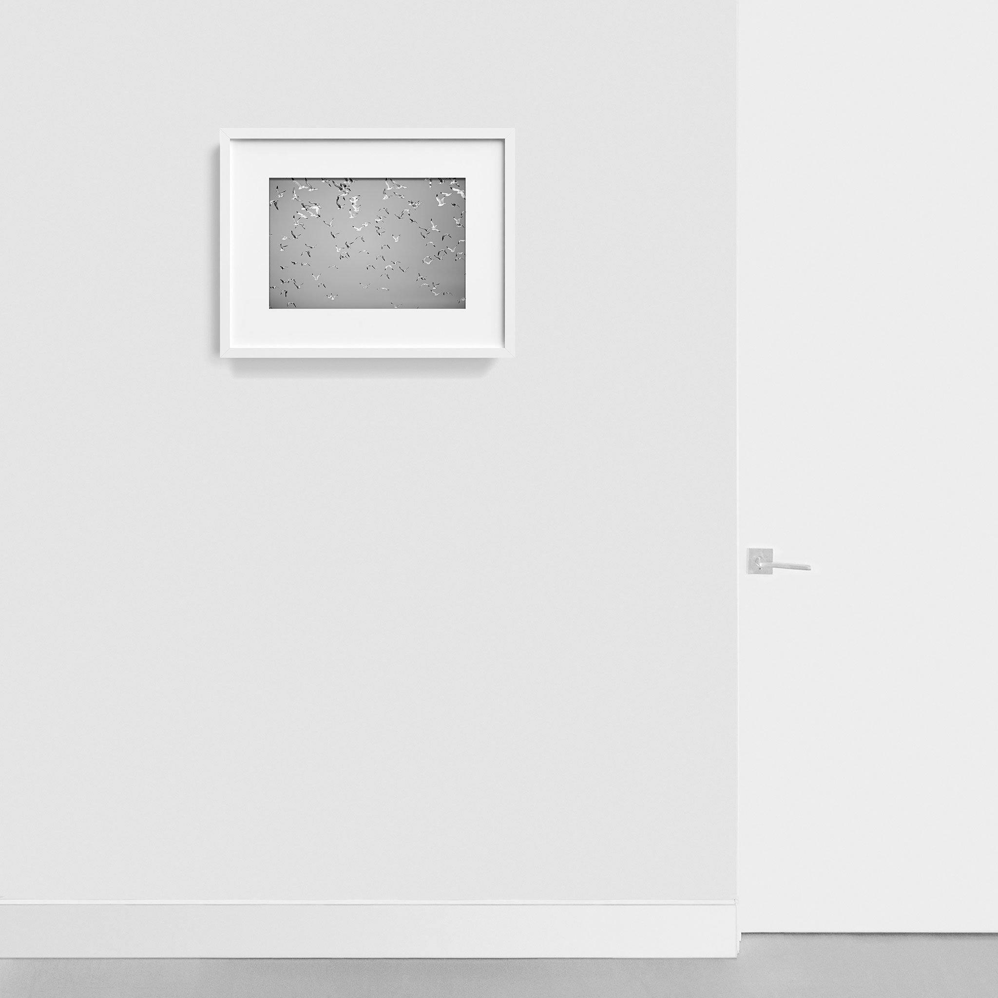 Photograph by Isaac Zoller