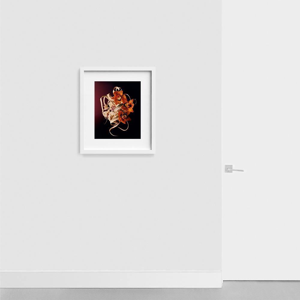Photograph by Jacques Brun