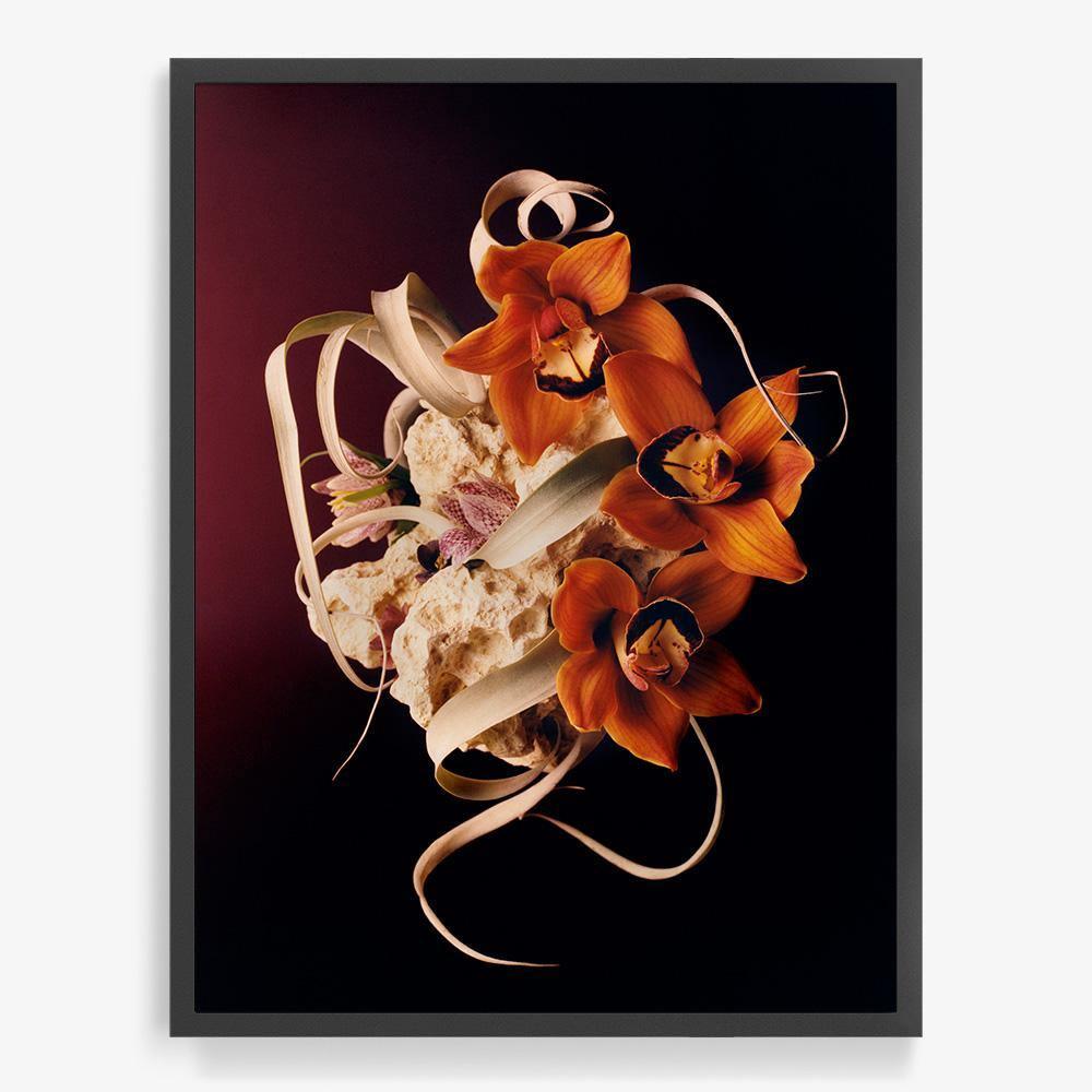 Photograph by Jacques Brun