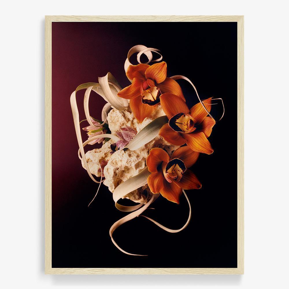 Photograph by Jacques Brun