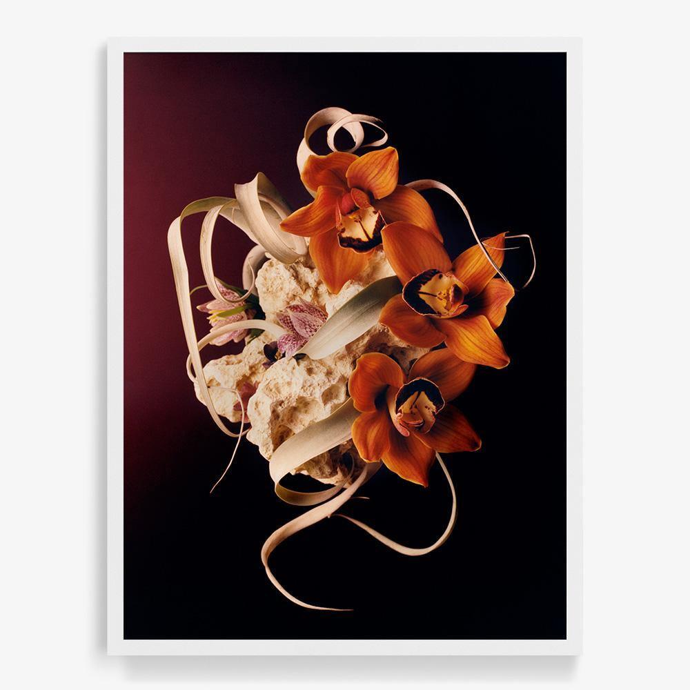 Photograph by Jacques Brun