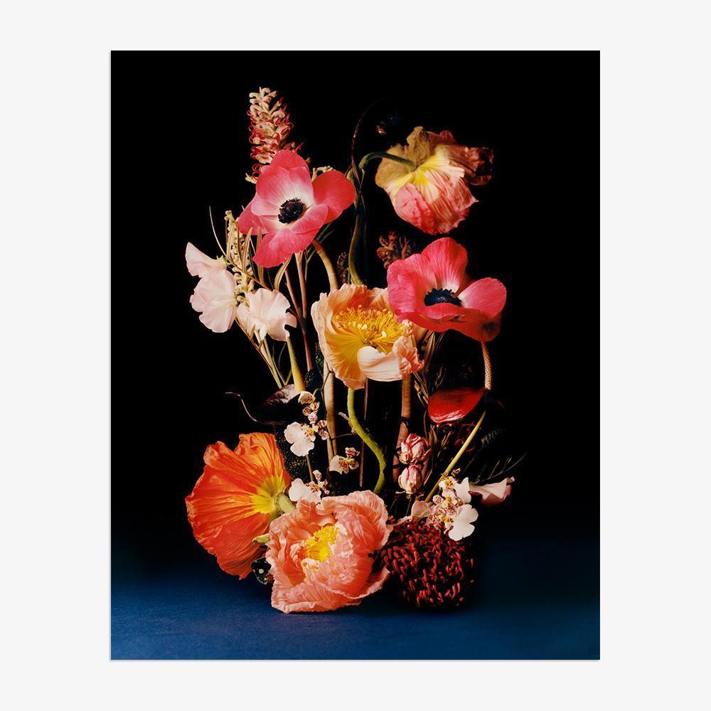 Photograph by Jacques Brun