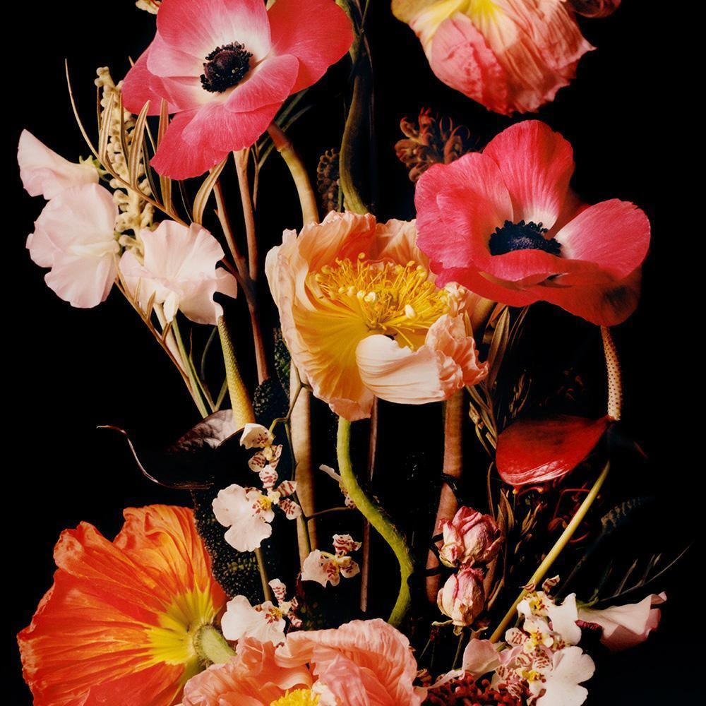 Photograph by Jacques Brun