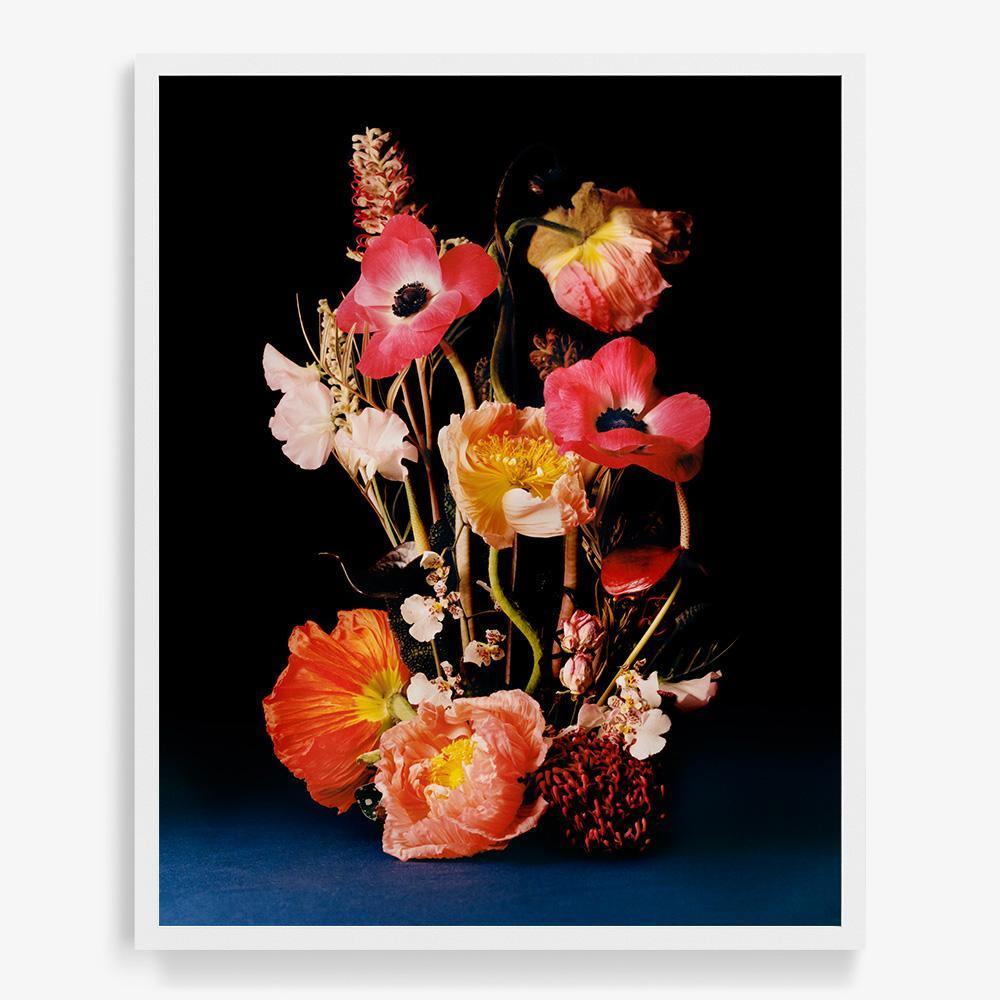 Photograph by Jacques Brun