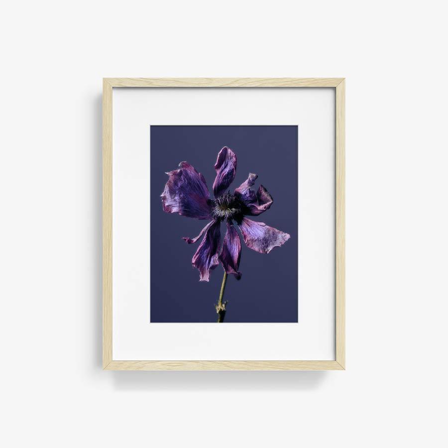 Photography by Jacques Brun